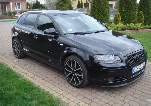 Audi A3 cena 20500 przebieg: 262000, rok produkcji 2005 z Wołomin małe 37